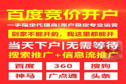 SEM服务托管实战案例：数据驱动营销